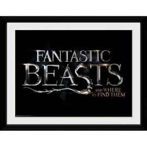 Obraz na zeď - Fantastic Beasts - Logo