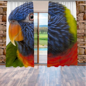 Barevný papoušek (140 x 250 cm) - Dekorační závěs