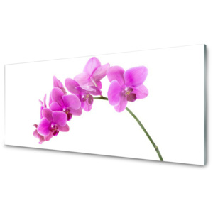 Skleněný obraz Vstavač Květ Orchidej