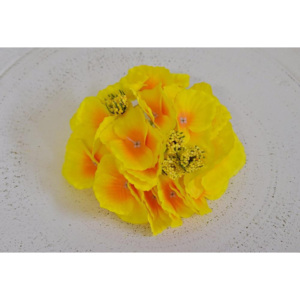 Harasim Květenství hortenzie žluté