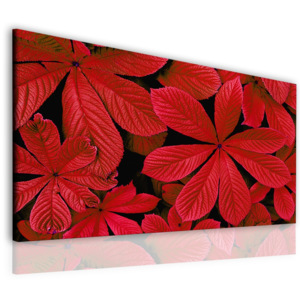 Obraz červené listí (90x60 cm) - InSmile ®