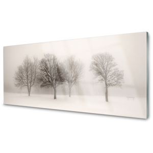 Skleněný obraz Sníh Stromy Krajina