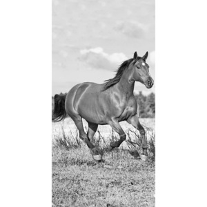 DETEXPOL Osuška Kůň černobílá 70x140 cm