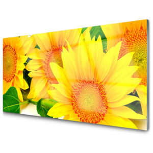 Skleněný obraz Slunečnice Květ Příroda