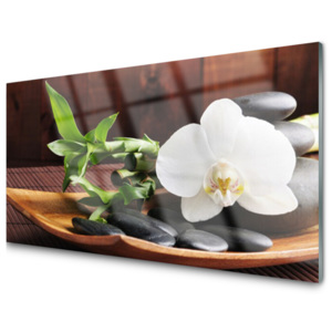 Skleněný obraz Kameny Zen Bílá Orchidej