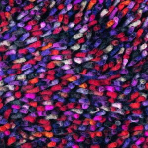 Vopi Moderní kusový koberec Rocks mix 70400, fialový Brink&Campman 140 x 200