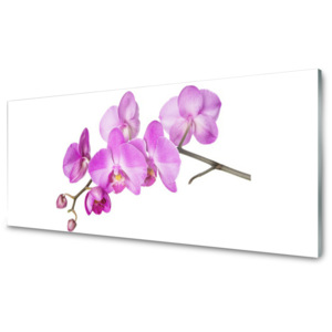 Skleněný obraz Vstavač Orchidej Květiny