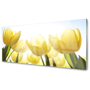 Skleněný obraz Tulipány Květiny Paprsky