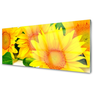 Skleněný obraz Slunečnice Květ Příroda