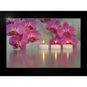 Orchidej a svíčky Orchidej a svíčky 120x80cm