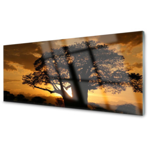Obraz na skle Skleněný Strom Příroda