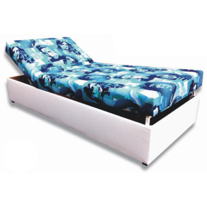 Jednolůžková postel (válenda) 90 cm Darina (Bílá koženka + Elvis 2)