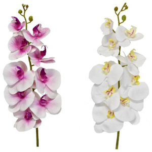 Harasim Orchidej mix barev 95 cm, 9 květů
