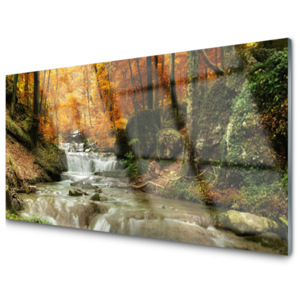 Skleněný obraz Vodopád Les Příroda