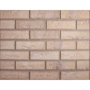 Cihlový obklad ELASTOLITH exteriér 240x71x4 mm, 99621, Corsica (Herbst Bunt)
