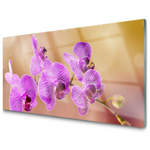 Skleněný obraz Orchidej Výhonky Květiny Příroda