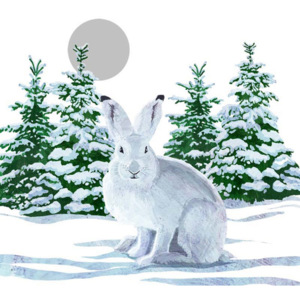 Balení 10 papírových ubrousků s vánočním motivem PPD Snow Rabbit
