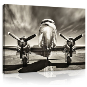 Postershop Obraz na plátně: Letadlo (černobílé) - 75x100 cm