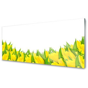 Skleněný obraz Květiny Příroda Tulipány