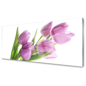 Skleněný obraz Tulipány Květiny Rostlina