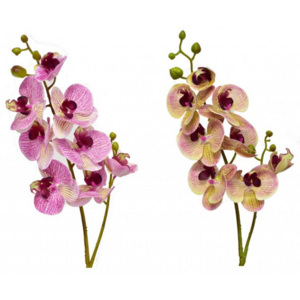 Harasim Orchidej mix barev 72 cm, 8 květů