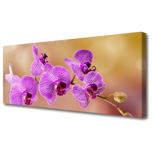 Obraz Canvas Orchidej Výhonky Květiny Příroda