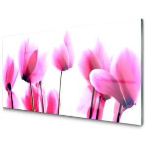 Kuchyňský skleněný panel Skleněný Květíny Rostlina