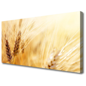 Obraz Canvas Pšenice Rostlina Příroda