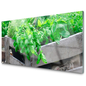 Kuchyňský skleněný panel Listy Příroda Rostlina