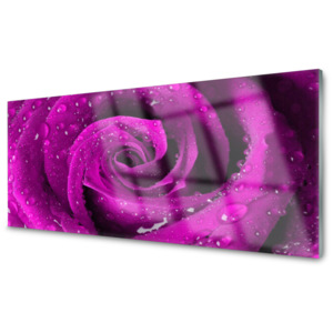 Kuchyňský skleněný panel Růže Květ Rostlina