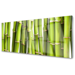 Skleněné obklady do kuchyně Bambus Rostlina Příroda