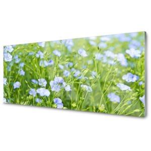 Kuchyňský skleněný panel Květiny Tráva Rostlina Příroda