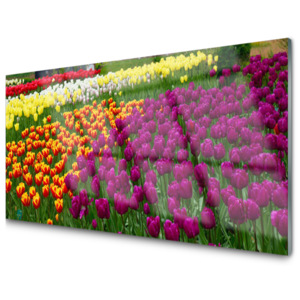 Kuchyňský skleněný panel Skleněný Tulipány Květiny