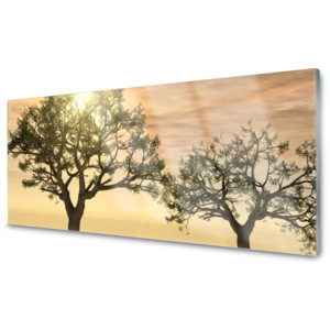 Kuchyňský skleněný panel Skleněný Stromy Příroda