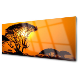 Kuchyňský skleněný panel Strom Slunce Příroda