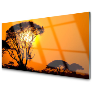 Kuchyňský skleněný panel Strom Slunce Příroda