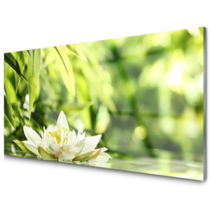 Kuchyňský skleněný panel Skleněný Květ Listy