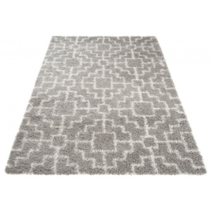 Exkluzivní kusový koberec SHAGGY LOCANA L0900 - 60x100 cm