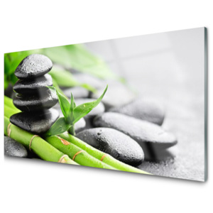 Kuchyňský skleněný panel Bambus Kameny Rostlina