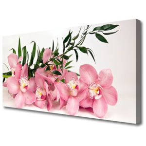 Obraz Canvas Orchidej Květiny Lázně