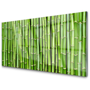 Kuchyňský skleněný panel Bambus Květ Rostlina