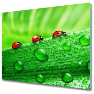 Skleněná krájecí deska Ladybug na trávě