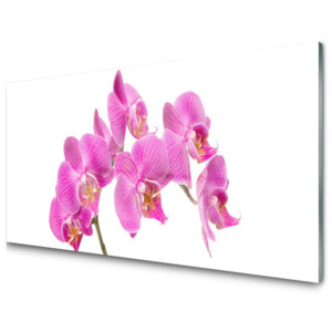 Skleněné obklady do kuchyně Orchidej Květiny Příroda