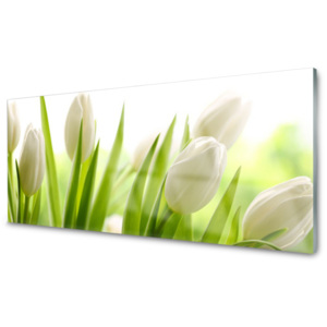 Kuchyňský skleněný panel Skleněný Tulipány Květiny