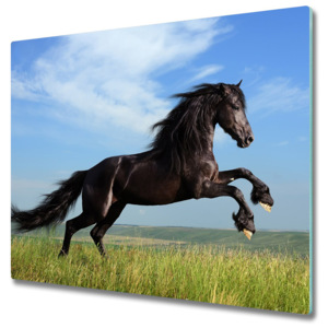 Skleněná krájecí deska Černý kůň na louce