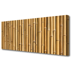 Obraz Canvas Bambus Rostlina Příroda