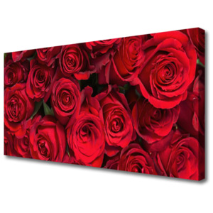 Obraz Canvas Červené Růže Květiny Příroda