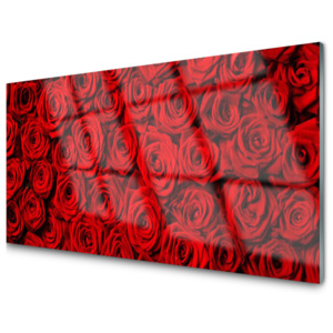 Kuchyňský skleněný panel Skleněný Růže