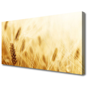 Obraz Canvas Pšenice Rostlina Příroda