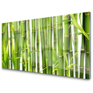 Skleněné obklady do kuchyně Bambusové Výhonky Listy Bambus